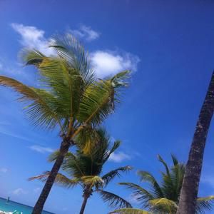 Meet your Posher, Rika